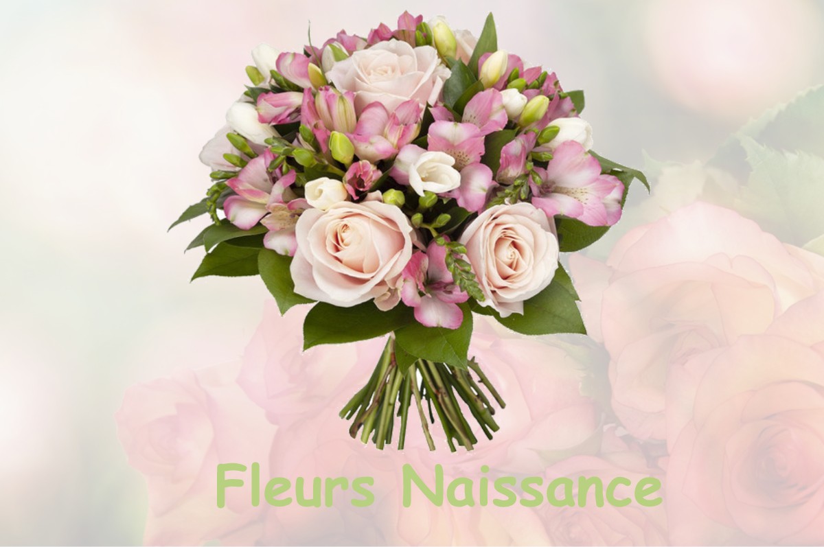 fleurs naissance SAINT-MARDS-DE-BLACARVILLE